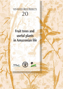 Fruit trees and useful plants in amazonian life