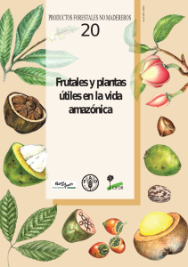 Frutales y plantas útiles en la vida amazónica